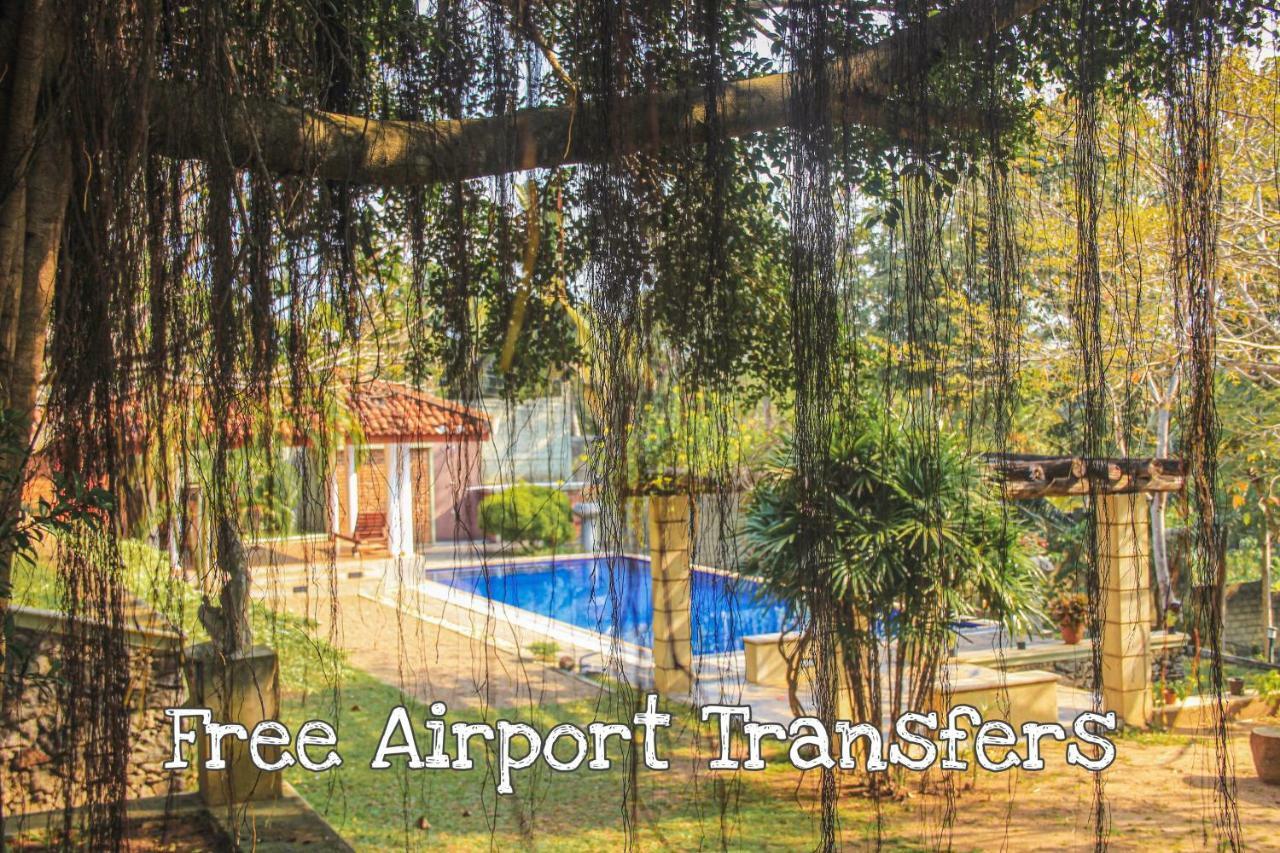 Airport Green Olive Villa Katunayaka Dış mekan fotoğraf